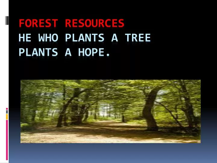 forest resources he who plants a tree plants a hope