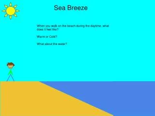 Sea Breeze