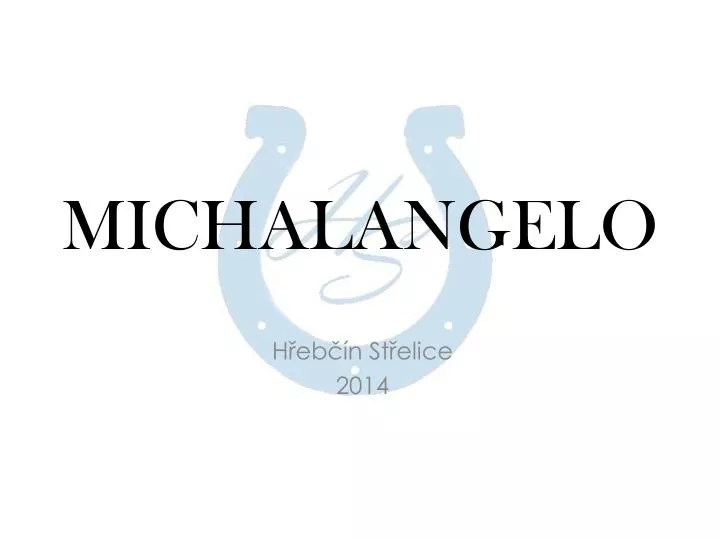 michalangelo