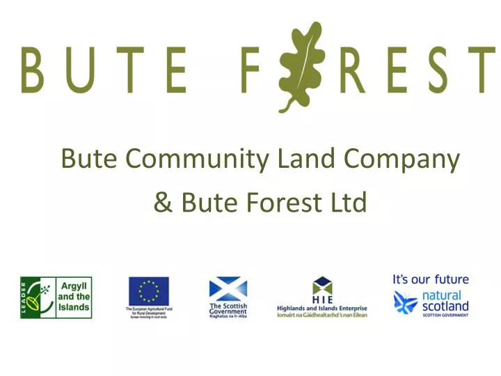 bute community land company bute forest ltd