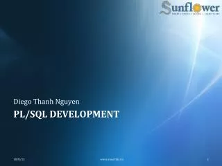 PL/SQL Development