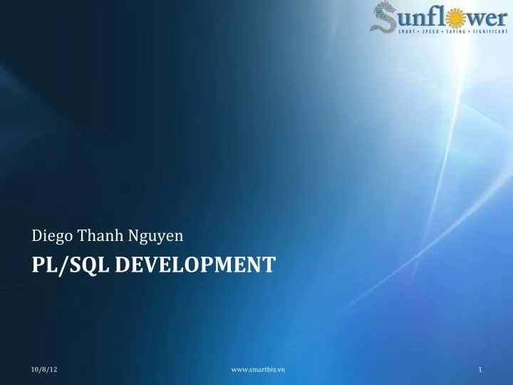 pl sql development