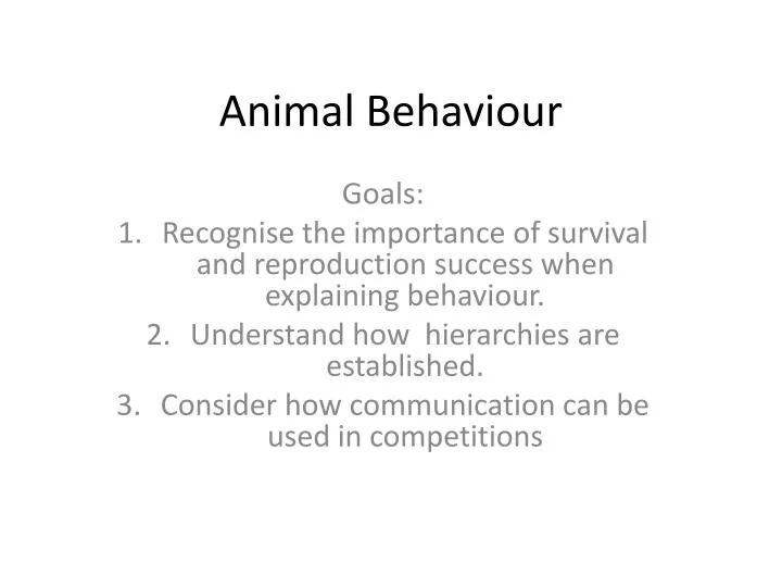 animal behaviour