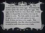 Spider Life Cycle - slide 1