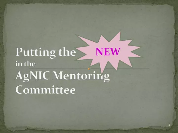 putting the in the agnic mentoring committee