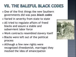 VII. The Baleful Black Codes