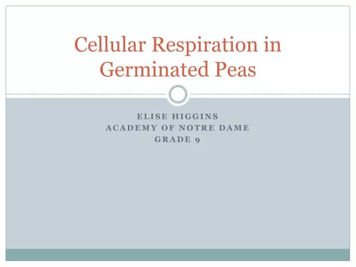 cellular respiration in germinated peas