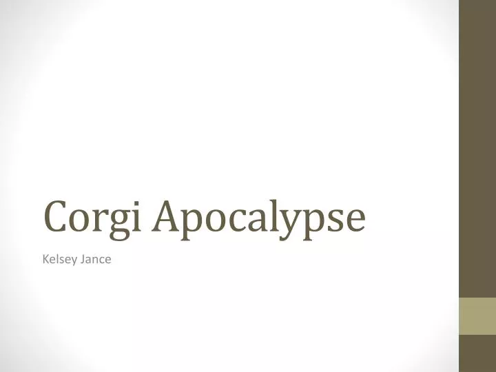 corgi apocalypse