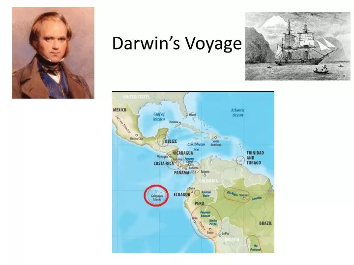 darwin s voyage