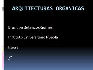 brandon betanzos g mez instituto universitario puebla isaura 3