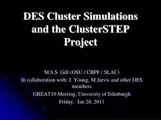 DES Cluster Simulations and the ClusterSTEP Project