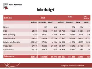 internbudget