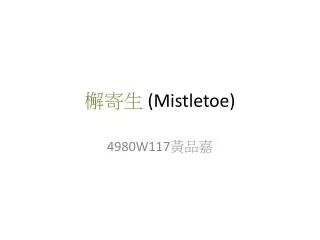 mistletoe
