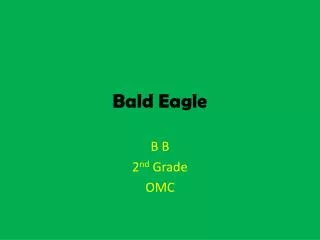 bald eagle