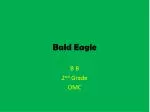 Bald Eagle - slide 1