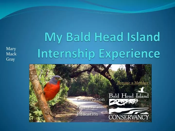 my bald head island internship experience
