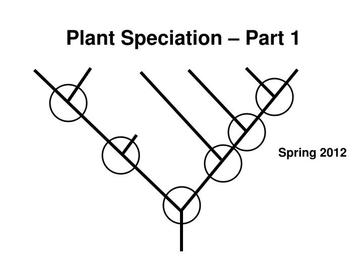 plant speciation part 1
