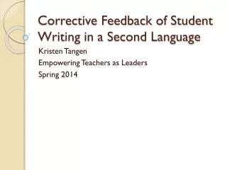 Corrective Feedback of Student Writing in a Second Language