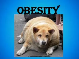 OBESITY