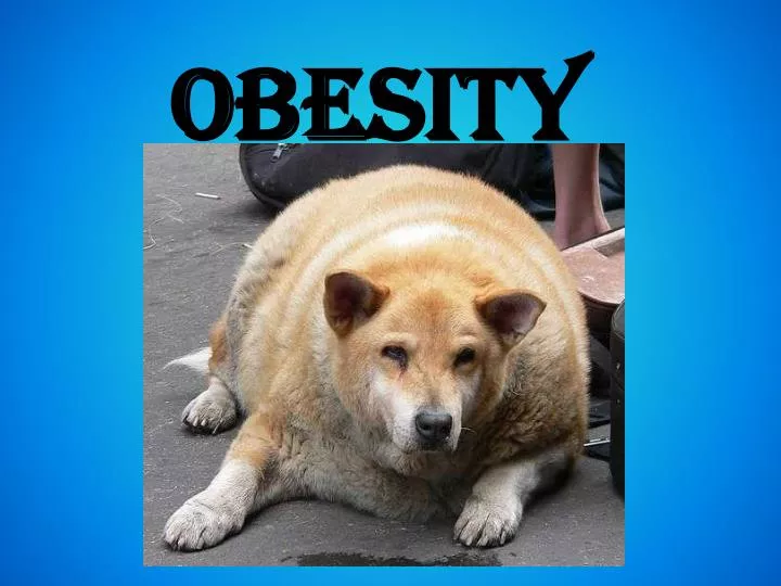 obesity