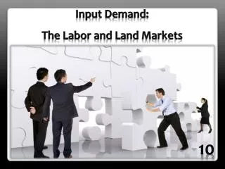 Input Demand: The Labor and Land Markets