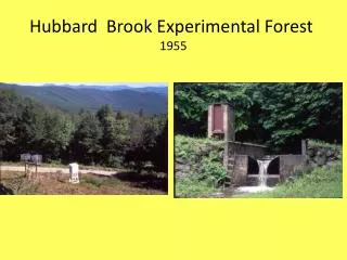 Hubbard Brook Experimental Forest 1955