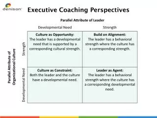 Executive Coaching Perspectives