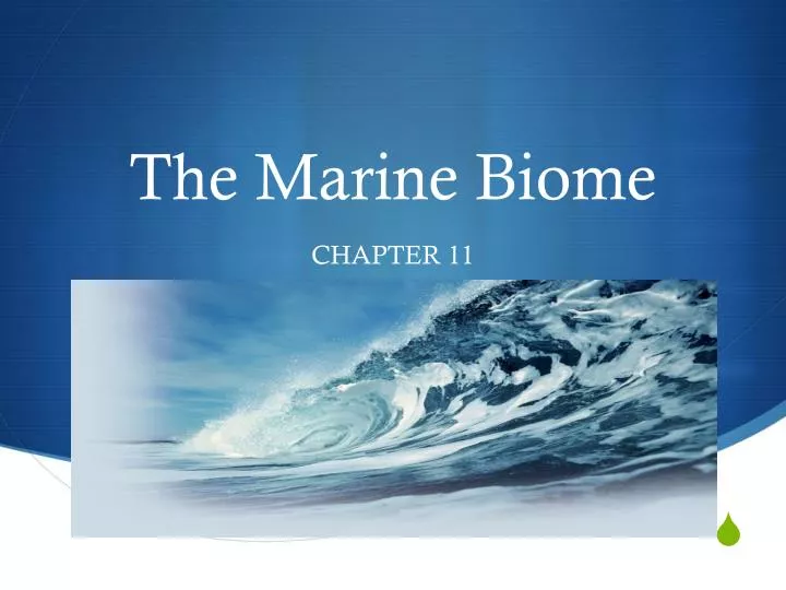 the marine biome