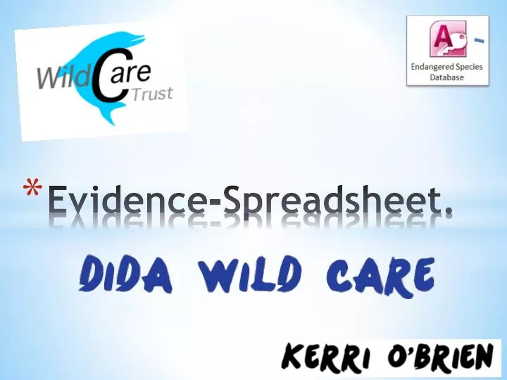 evidence spreadsheet