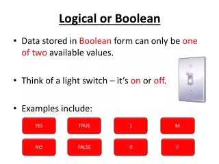 Logical or Boolean