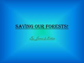 Saving our forests!
