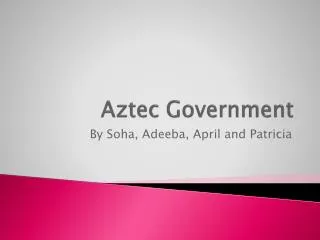 Aztec Government