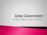 Aztec Government