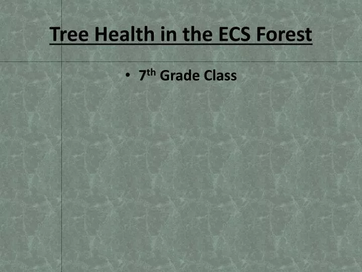 tree health in the ecs forest