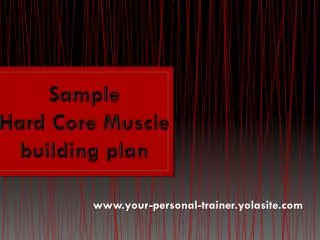 Sample Hard C ore Muscle building plan