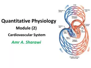 Quantitative Physiology