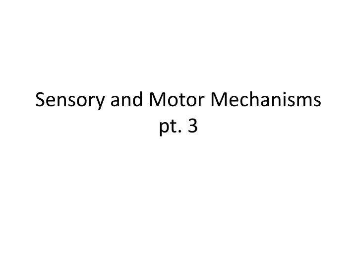 sensory and motor mechanisms pt 3