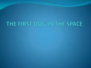 the first dog in the space