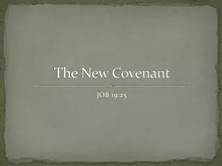 the new covenant