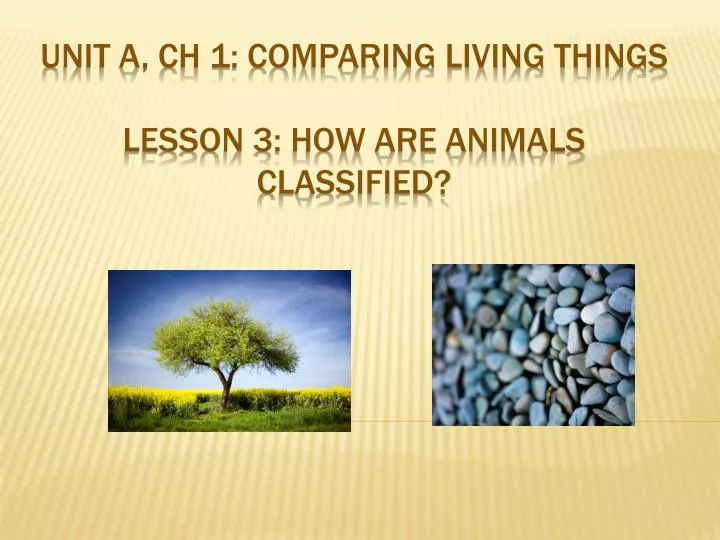 unit a ch 1 comparing living things lesson 3 how are animals classified