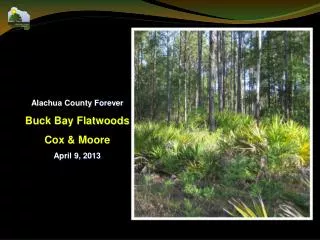 Alachua County Forever Buck Bay Flatwoods Cox &amp; Moore April 9, 2013