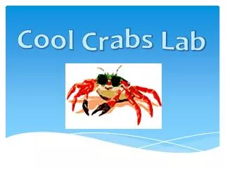 Cool Crabs Lab