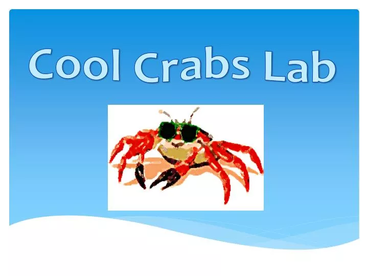 cool crabs lab