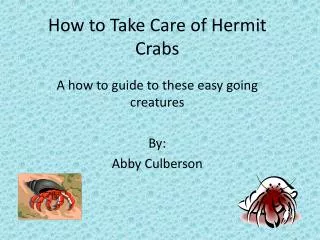How to T ake Care of H ermit Crabs