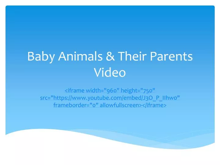 baby animals their parents video