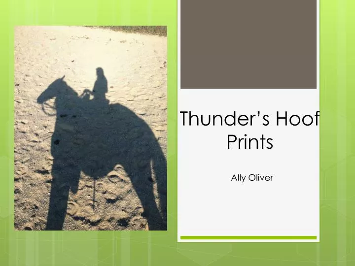 thunder s hoof prints