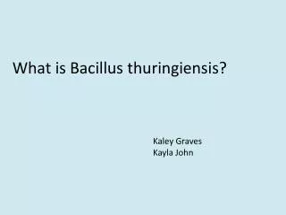 What is Bacillus thuringiensis ?