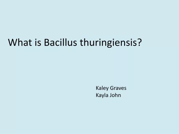 what is bacillus thuringiensis