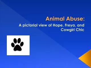 Animal Abuse: