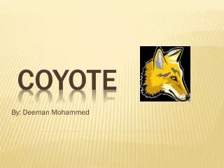 by deeman mohammed